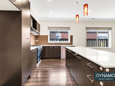 109 Bluebell Drive, Craigieburn