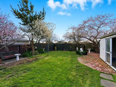 125 Harris Crescent, Papanui