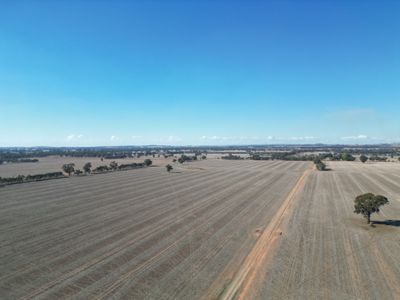 1501 Howlong-Goombargana Road, Brocklesby