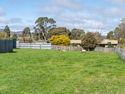 26A Patrick Street, Bothwell