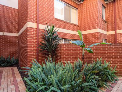 16 / 62 Bronte Street, East Perth