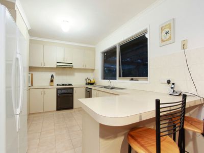 25 Pinehill Drive, Rowville
