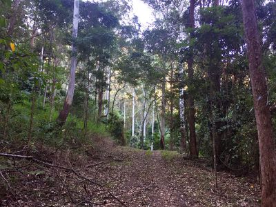 397 Lindsay Road, Larnook