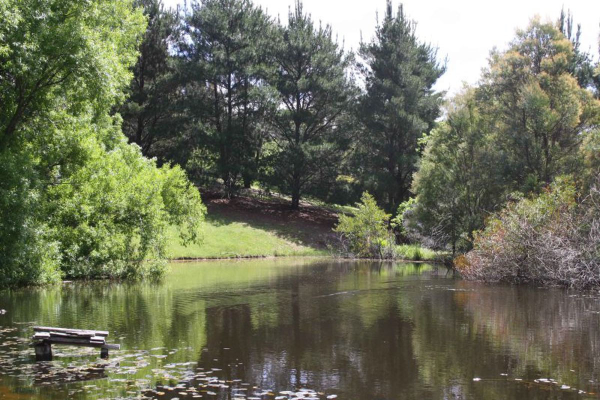 35 Barak Court, Bonnie Doon