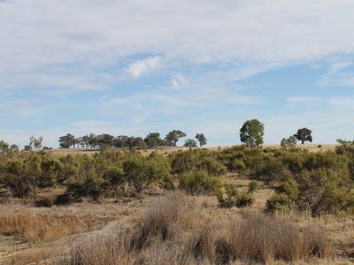 Lot 5, Davis Road, Mount Camel