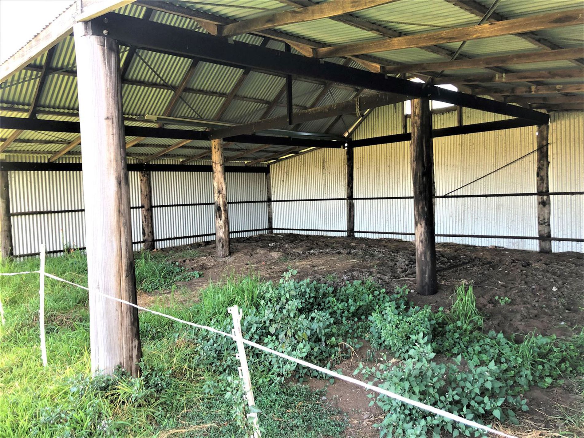 98 Wilfords Lane, Milton