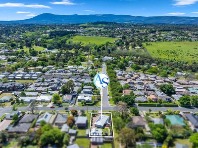21 Howey Street, Gisborne