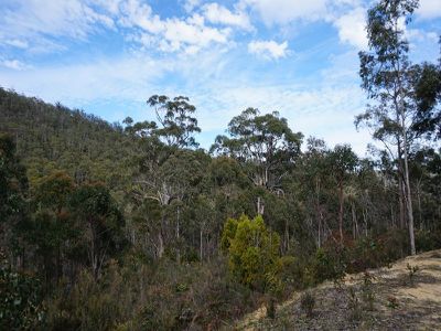 Ra Brittains Road, Garden Island Creek