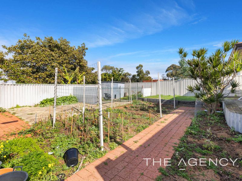 25 Tolley Court, Hamilton Hill