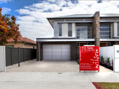12 Brinkworth Street, South Plympton