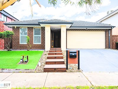 10 Water Fern Grove, Greenvale