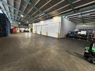 9 Midland Street, South Dunedin