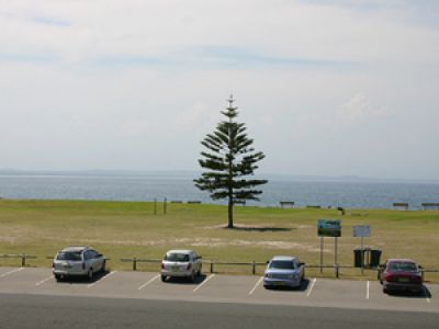 Forster