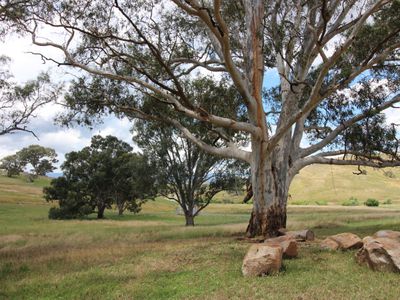 80 Owens Creek Drive, Mansfield