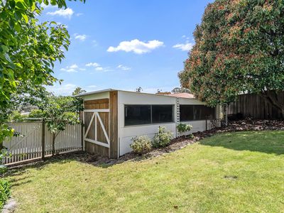 13 Humphrey St, Waverley