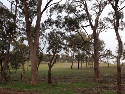 505 Hardings Lane, Tooborac