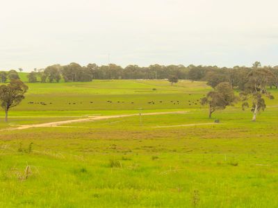 5 Sunset Hills Road, Neville