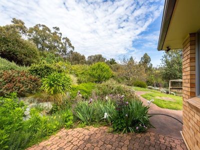 322 Clifton Beach, Clifton Beach