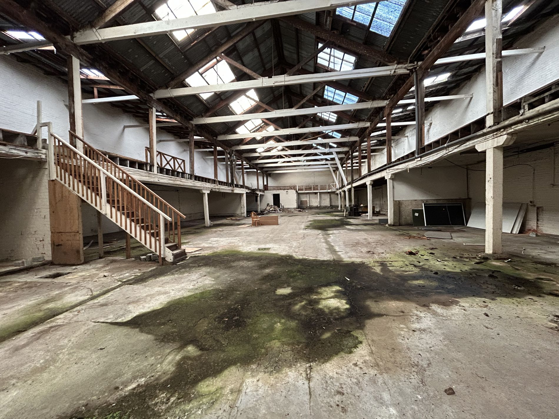 61 Maclaggan Street, Dunedin Central