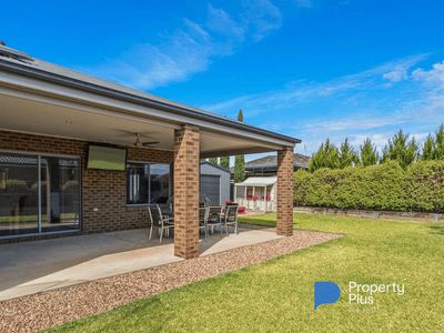 81 Greenfield Drive, Epsom