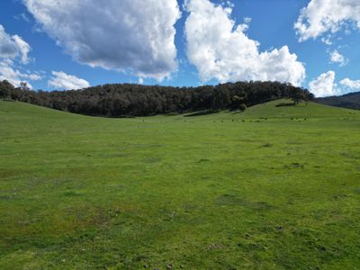'Eastmore' 1177 Callaghan Creek Road, Mitta Mitta