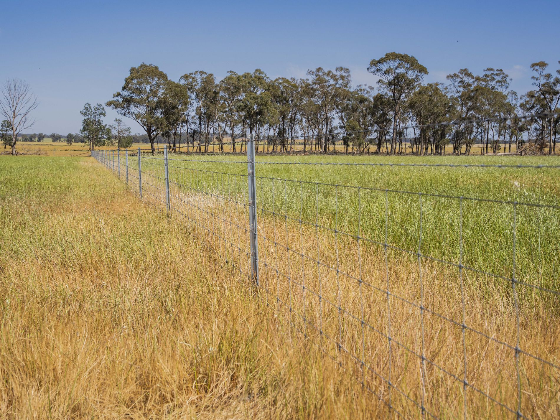 3356 Mid Western Highway, North Yalgogrin