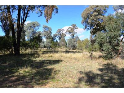 353 Albert Wright Road, Rocky Glen