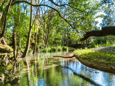 169 Gungas Road, Nimbin