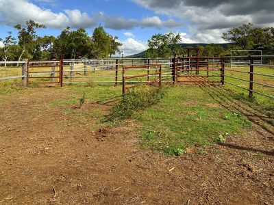125 Flaggy Road, Cooktown