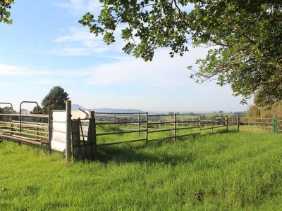 246b Martinvale Lane, Jaspers Brush