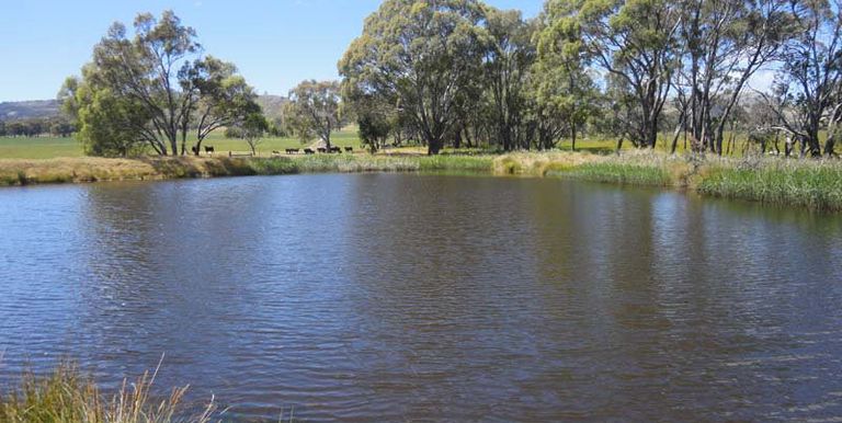 112 Jefferies Road Locksley, Avenel