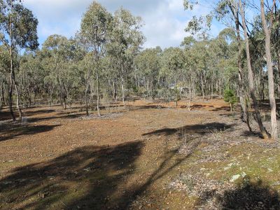 LOT 54 WARROWITUE-FOREST ROAD, Heathcote