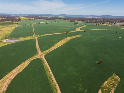 Lot 'Woodlands', 1777 Paynes Road, North Yalgogrin