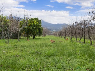 7111 Kiewa Valley Highway, Tawonga
