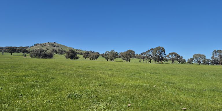 Lot 1  10 Dunnings Road, Balmattum