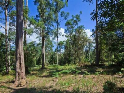 47 Forest Acres Drive, Lake Macdonald