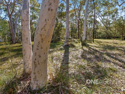 38 Hill Street, Tomerong