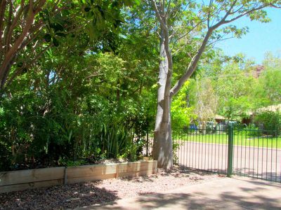 25 Boobialla Way, Kununurra