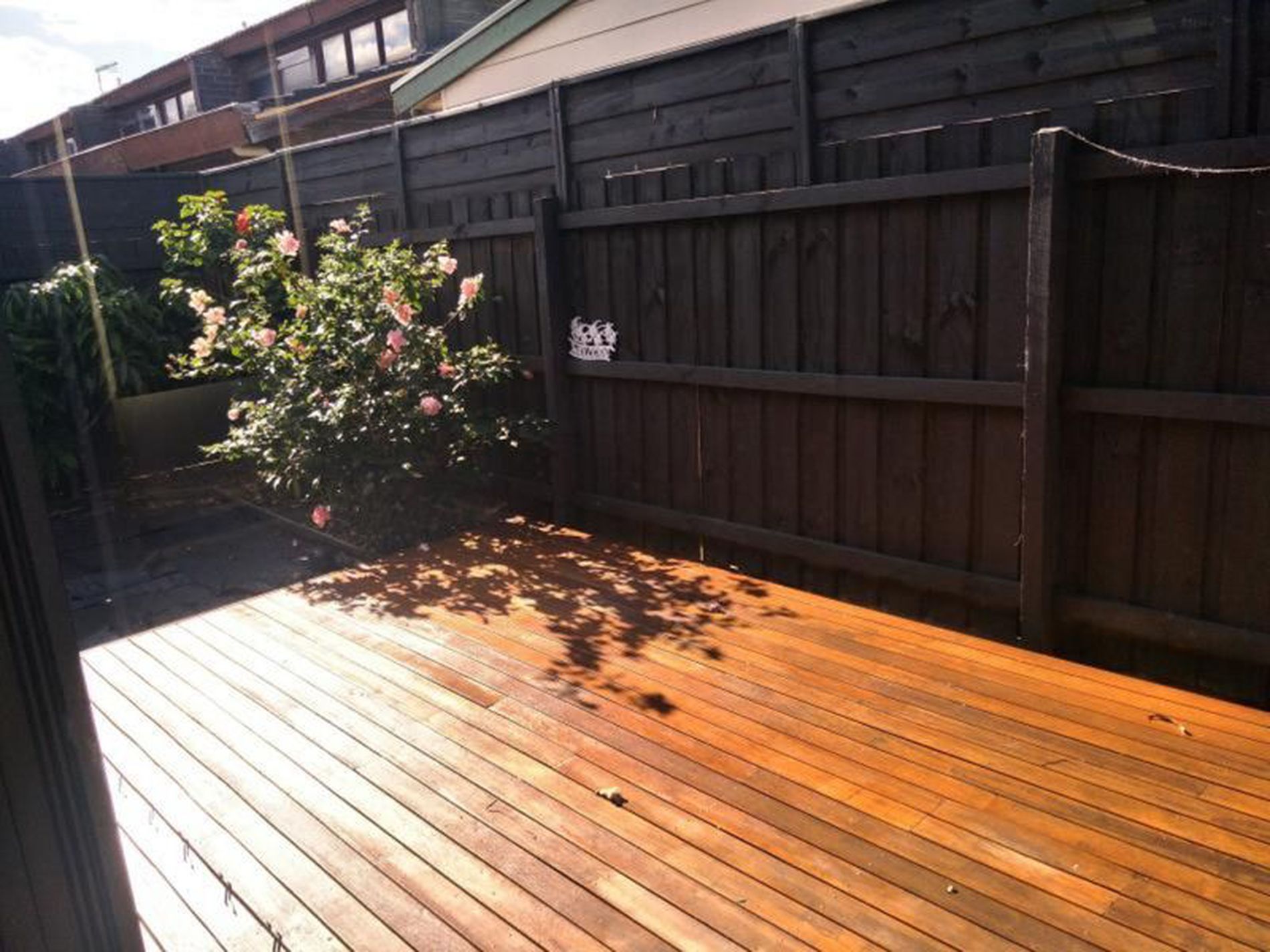 54 Aloha Street, South Kingsville