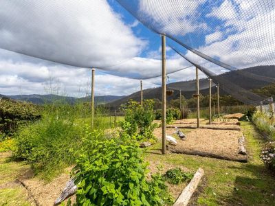1775 Pelverata Road, Upper Woodstock