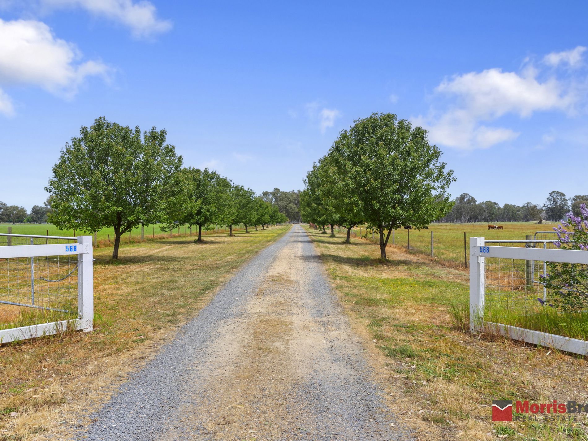 568 Snow Road, Laceby