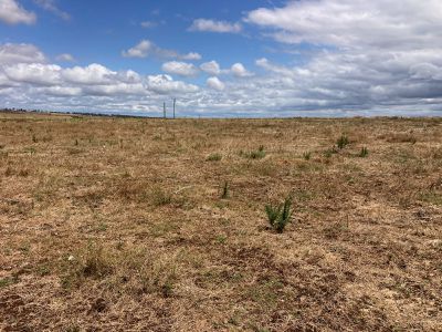 Lot 32, 6201 Scone Road , Merriwa
