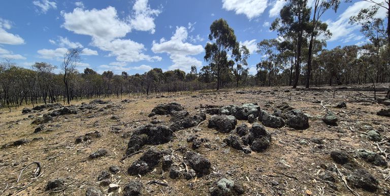Lot 3 Gellibrand Tonks Road , Earlston