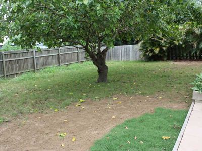 37 Samford Road, Leichhardt