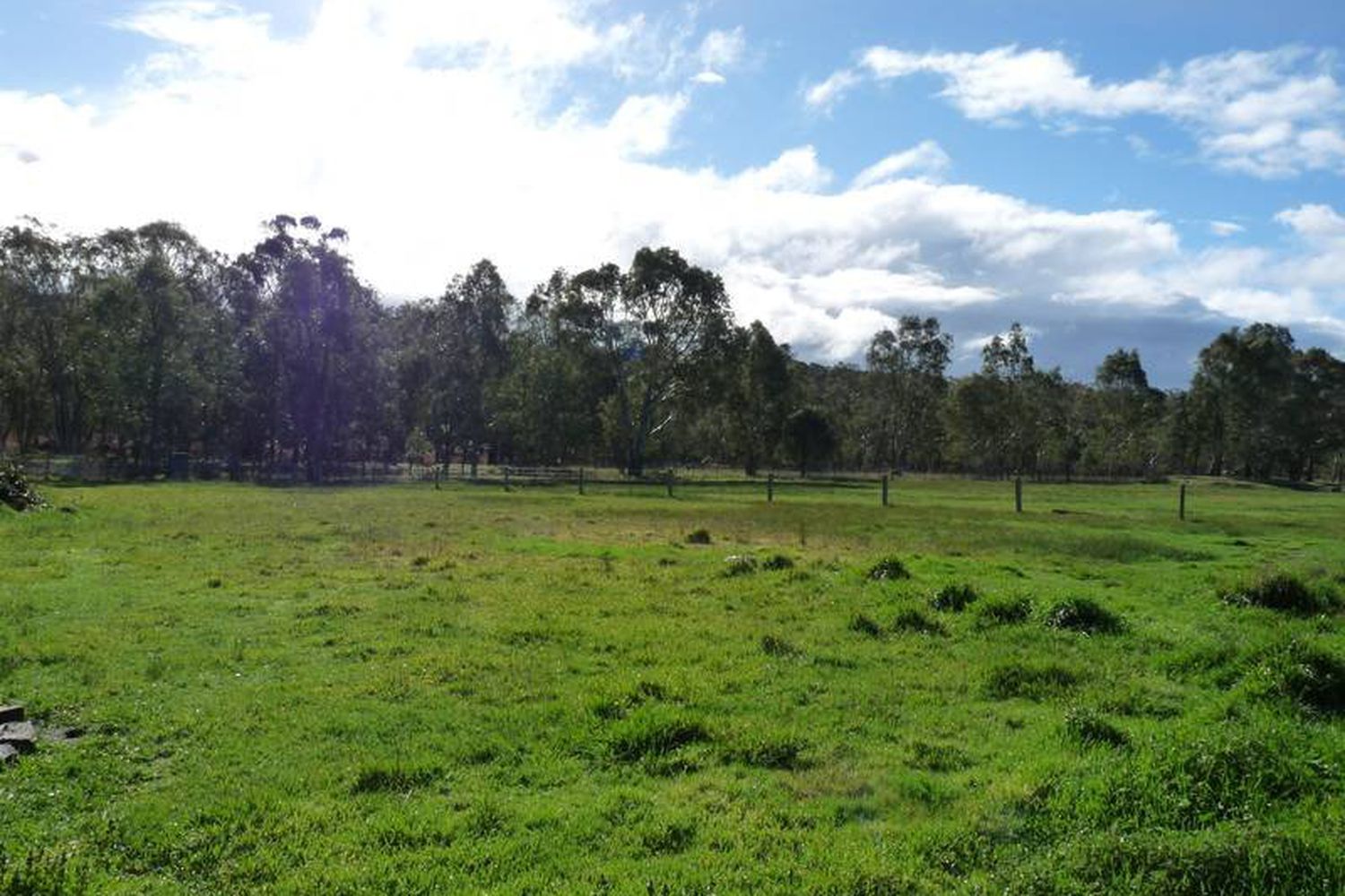 85 Coleraine Road, Horsham