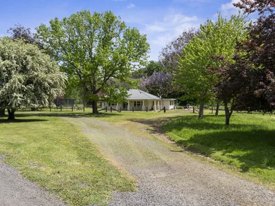 379 Ancona Road, Ancona