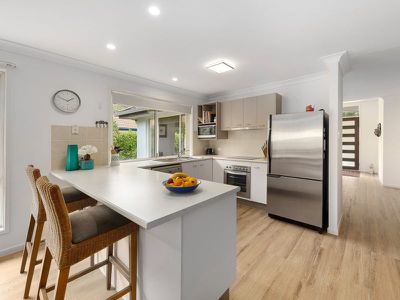 13 Daintree Way, Tewantin