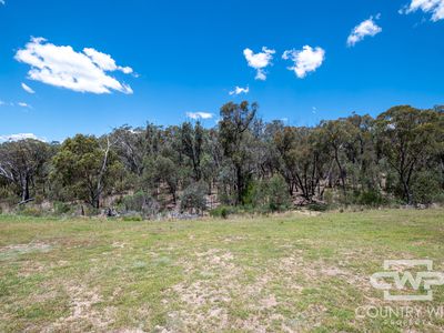 2135 Wellington Vale Road, Emmaville