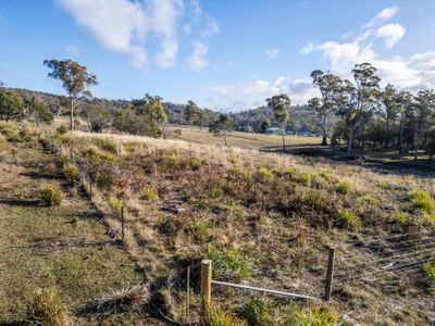 Lot 3, 101 Bridgenorth Road, Legana