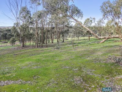 Warren Road, Heathcote